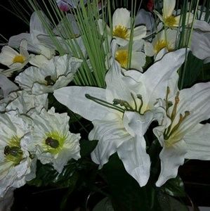 Meet your Posher, Greg